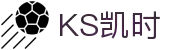 KS凯时(中国)官方网站 - 专注体验，智造非凡